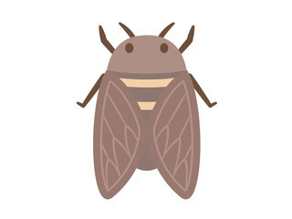 虫_セミ_主線なし