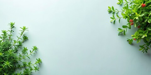 Eco-Friendly Cuphea Bats Drone Photography - High-Angle Flat Lay on Solid Color Backdrop for Sustainable Design Elements and Copy Space