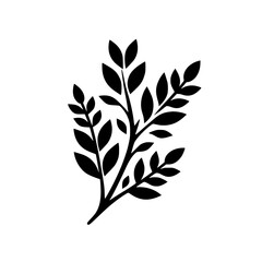 Minimalist Black Leafy Sprig on White Background: Botanical Design