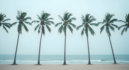 Obraz premium Palm Trees On Beach At Ocean Shore