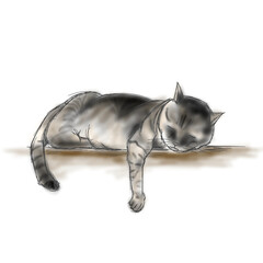 名称未設定のアートワーク