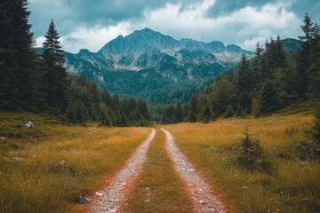 Rural road leading into forested mountains under blue sky
