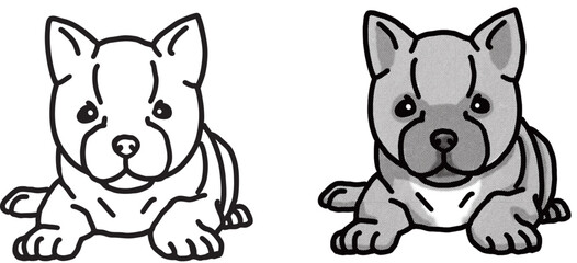 甲斐犬　kai　仔犬　犬のイラスト　塗り絵