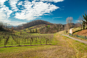 Colline del prosecco
