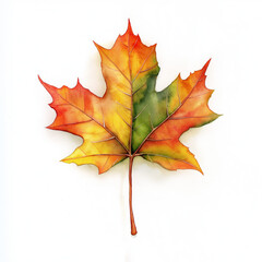 Fototapeta premium Watercolor Painting of a Vibrant Autumn Maple Leaf on White Background