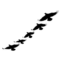 Silhouette Birds Flying Line Vector Graphic