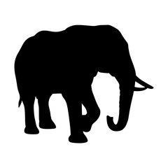 Obraz premium Elephant Silhouette - Black Outline