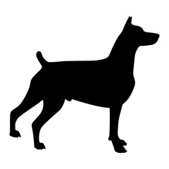 Doberman Silhouette Vector Graphic