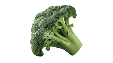 Fresh Green Broccoli on Black Background HighQuality Detailed Vegetable Image for Cooking N