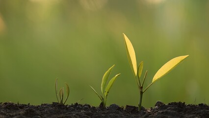 Innovative business growth strategies emphasizing green and sustainable practices in nature-focused environments for a better future
