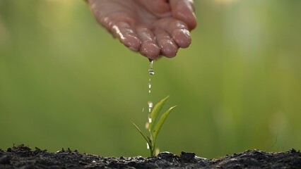 Nurturing business growth through sustainable practices a green initiative nature setting visual content close-up perspective conceptual overview