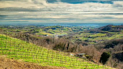 Colline del prosecco
