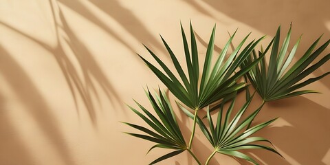 Fototapeta premium Tropical green palm leaves casting elegant shadows on a soft beige background in natural sunlight, perfect for minimalist nature-themed designs, calm mood concepts, and interior mockups