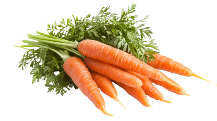 Fresh Orange Vegetables with Green Toppings Isolated on Black Background