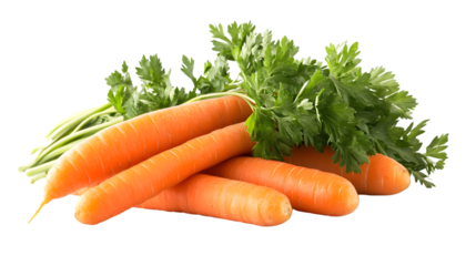 Fresh Orange Vegetables with Green Toppings Isolated on Black Background