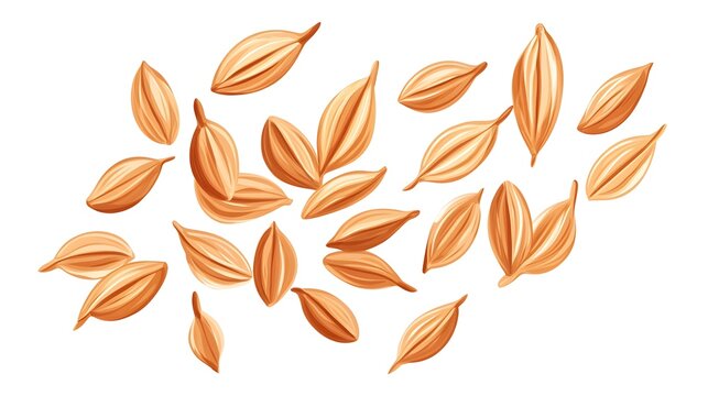 Illustrate cumin seeds in a simple yet detailed style with warm brown shades, isolated on a white background