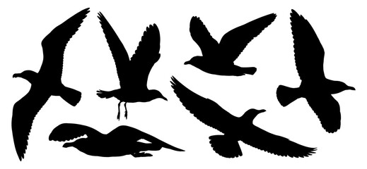 Black silhouette illustrations of flying seagulls isolated on transparent background