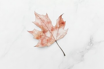 Dried Maple Leaf on Marble Autumn Elegance.