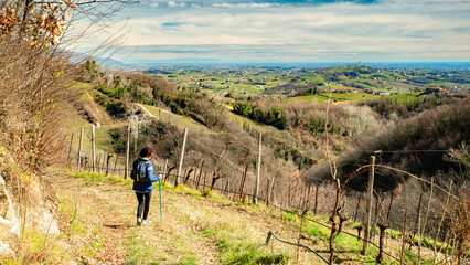Colline del Prosecco