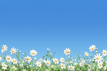 Daisy field illustration with clear blue sky for spring and summer background use