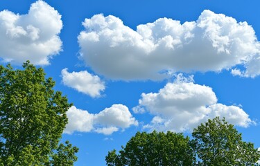 Obraz premium Lush green trees peek from below a vibrant blue sky adorned with fluffy white cumulus clouds A sunny idyllic scene