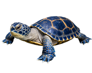 Magnificent ancient dragon turtle with intricately detailed shell, mystical creature emerging from the depths, embodying fantasy and imagination, close up view