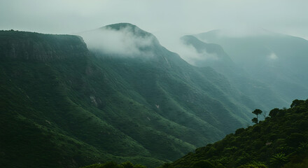 Obraz premium Misty Mountain Range With Dense Forest
