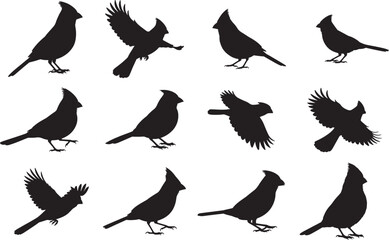 Cardinal Silhouette