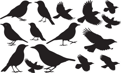 Nightingale Silhouette
