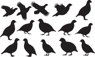 Partridge Silhouette