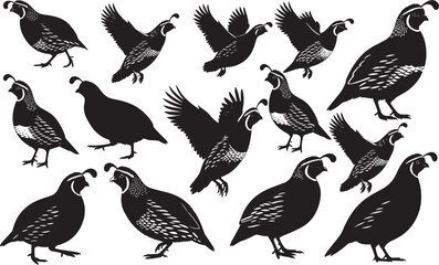Quail Silhouette