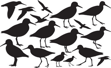 Sandpiper Silhouette