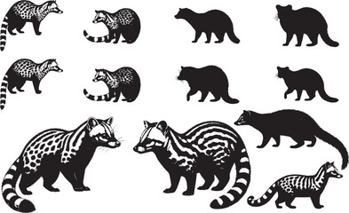 Silhouette of an African Civet