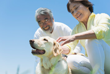 海の見える丘で愛犬と触れ合うシニア夫婦