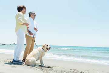愛犬を連れて浜辺を散歩するシニア夫婦