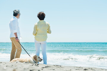 愛犬を連れて浜辺を散歩するシニア夫婦