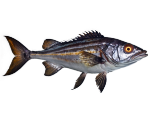 Realistic depiction of a deep sea creature with luminescent elements, showcasing its unique adaptations in the abyssal zone and the mysteries beneath the ocean