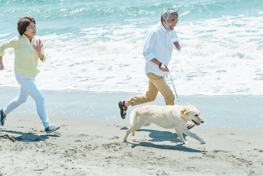 愛犬を連れて浜辺を走るシニア夫婦