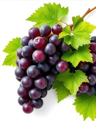 Fototapeta premium Luscious ripe purple grapes with fresh green leaves isolated on white, food photography, ingredient, stem