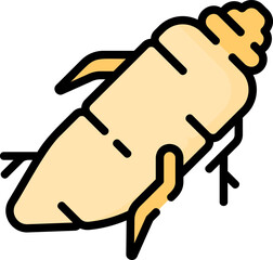 ginseng Illustration on a white background