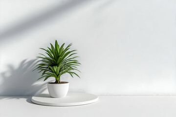 3D Render of a Potted Plant on a White Circular Pedestal Against a White Wall with Shadow