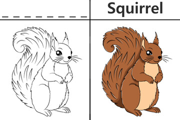 Squirrel coloring pages for kids and learn to recognize letters, animal recognition card media for various games in early childhood learning