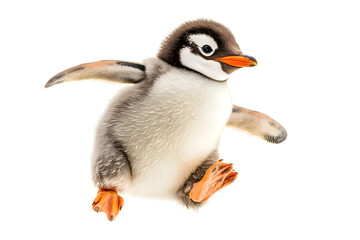 Fototapeta premium Penguin Chick Jumps Joyfully, Wildlife