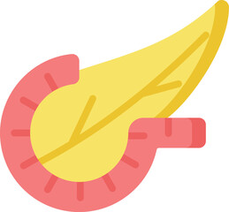 pancreas Illustration on a white background.