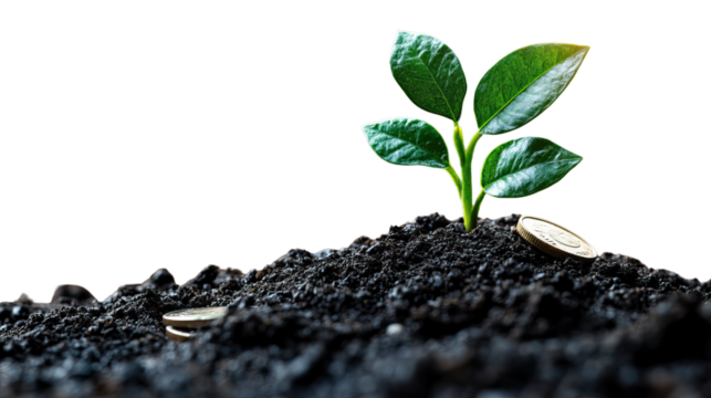 Green Shoots of Growth: A symbol of financial growth, a fresh sprout emerges from a bed of fertile soil, accompanied by scattered coins, conveying themes of investment and prosperity.
