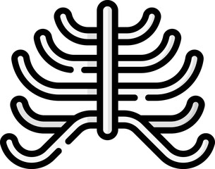 Obraz premium ribcage (2) Illustration on a white background.