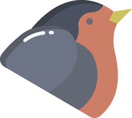 robin Illustration on a white background.