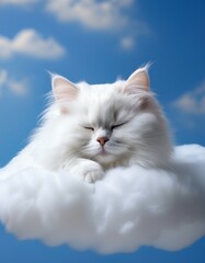 A Peaceful Persian Cat Napping on a Cloud in a Clear Blue Sky