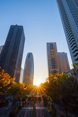 Obraz premium 西新宿・夜明け