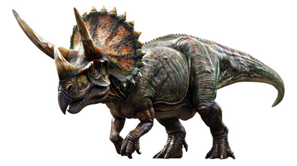 Obraz premium Prehistoric Powerhouse: A majestic Triceratops, with its distinctive frill and formidable horns, stands as a testament to the ancient world's awe-inspiring creatures.